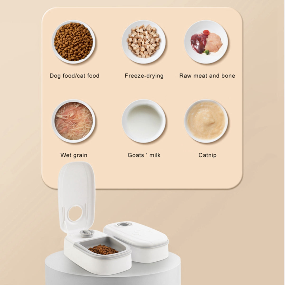 Amazing Smart Automatic Pet Feeder