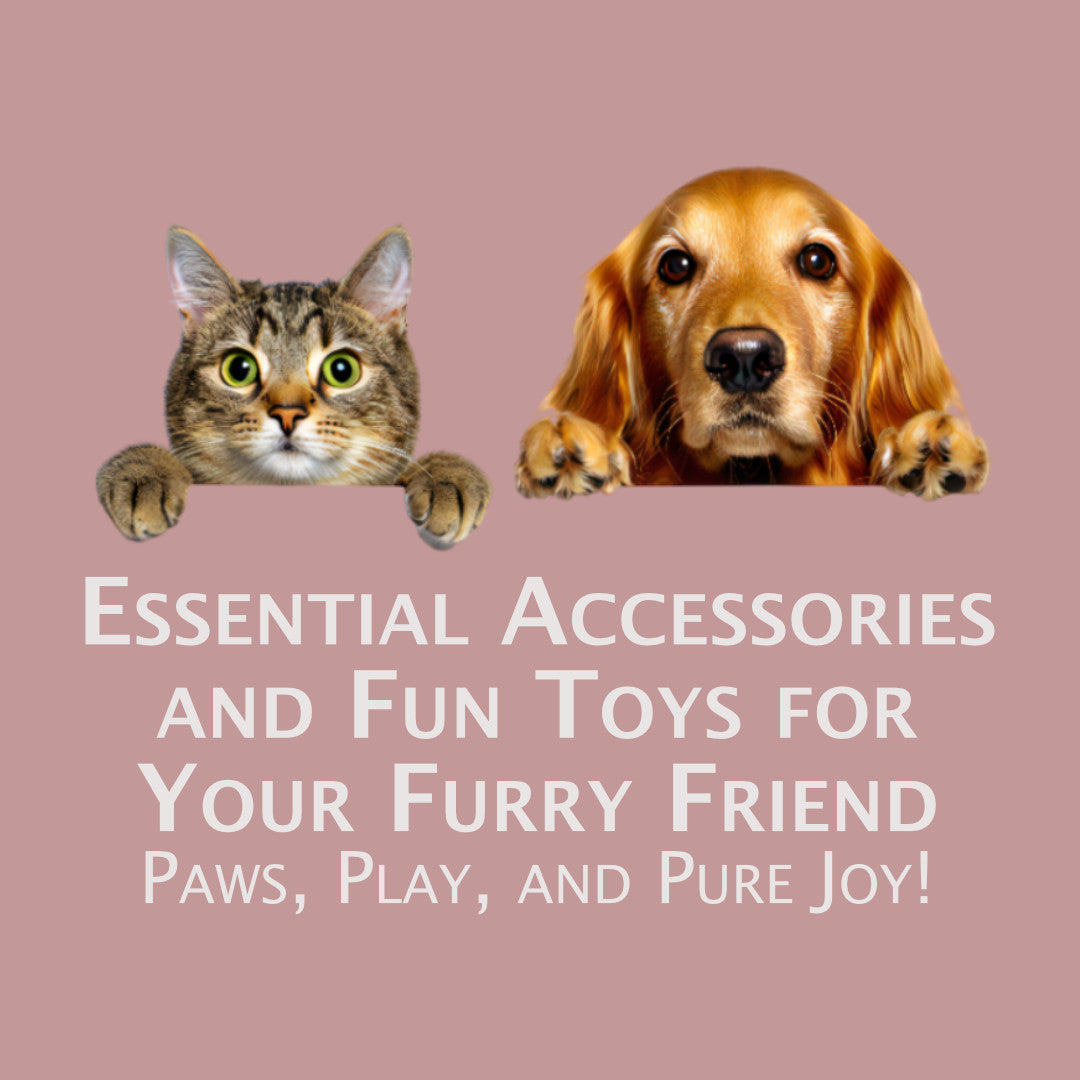 Pet Accessories and Supplies