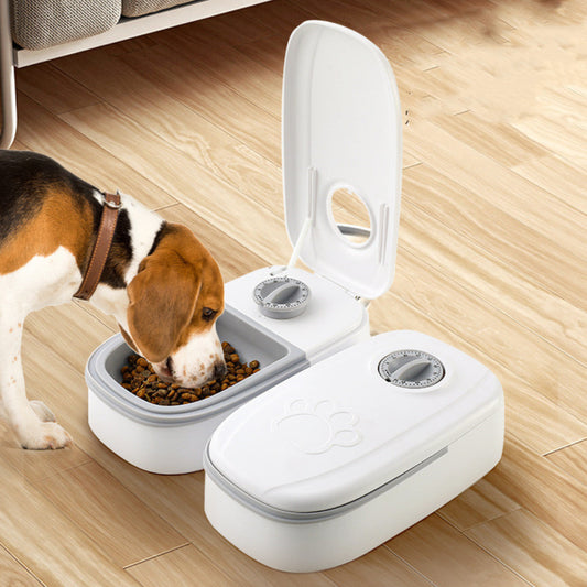 Amazing Smart Automatic Pet Feeder